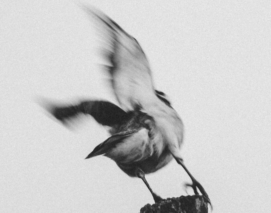 Guarda oltre le apparenze